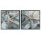 Stupell Industries Dry Distressed Starfish 2 pc Framed Giclee Wall Art Set Design by Susan Bryant